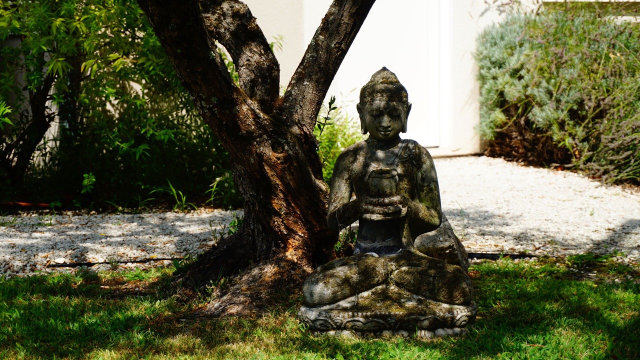 Photo of Outdoor in Gujan-Mestras