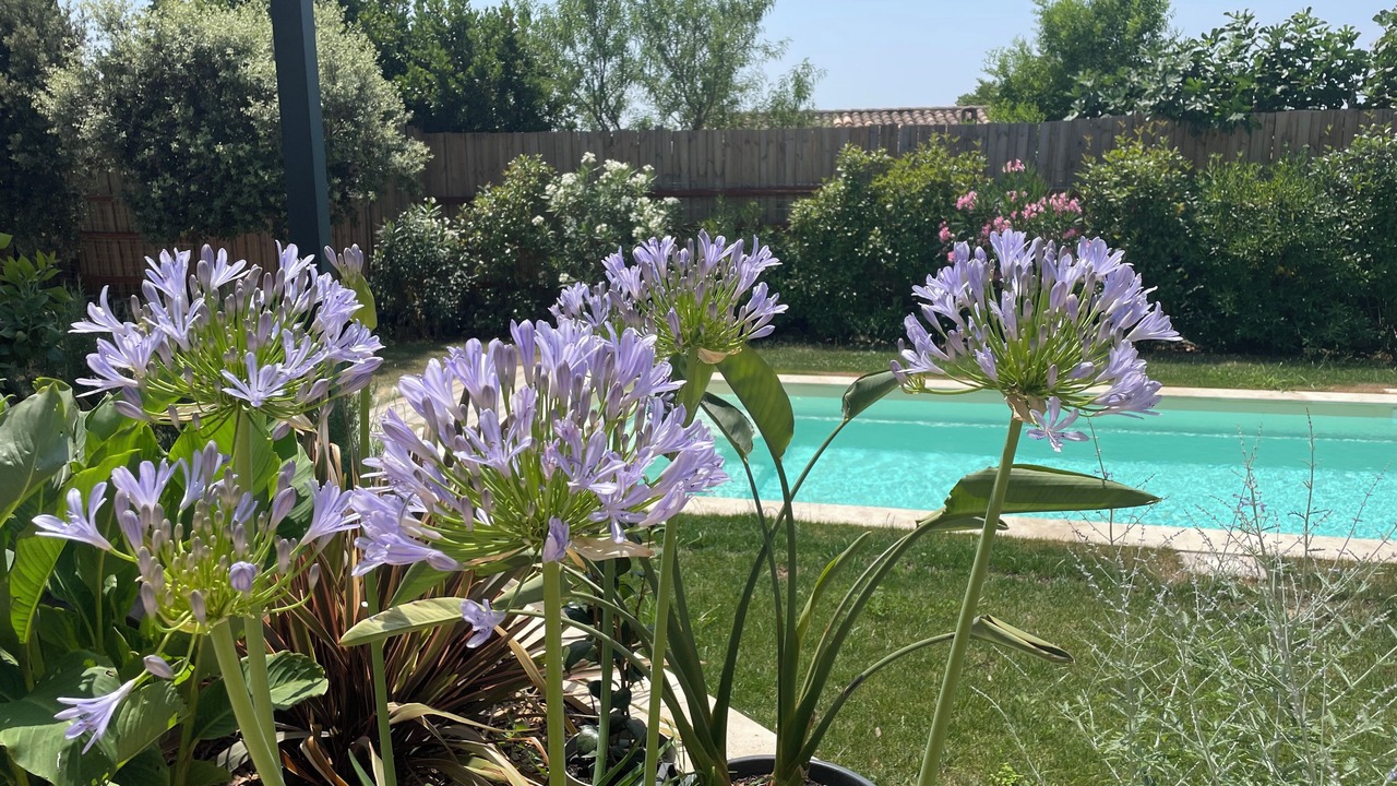 Photo of Outdoor in Cabrieres-d'Avignon
