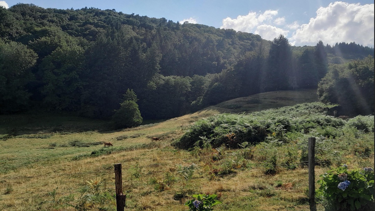 Photo of Others in Saint-Sylvestre