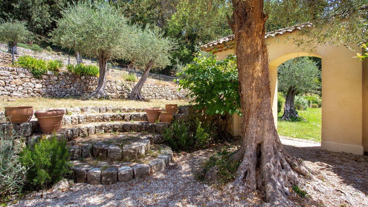 Photo of Outdoor in Grasse