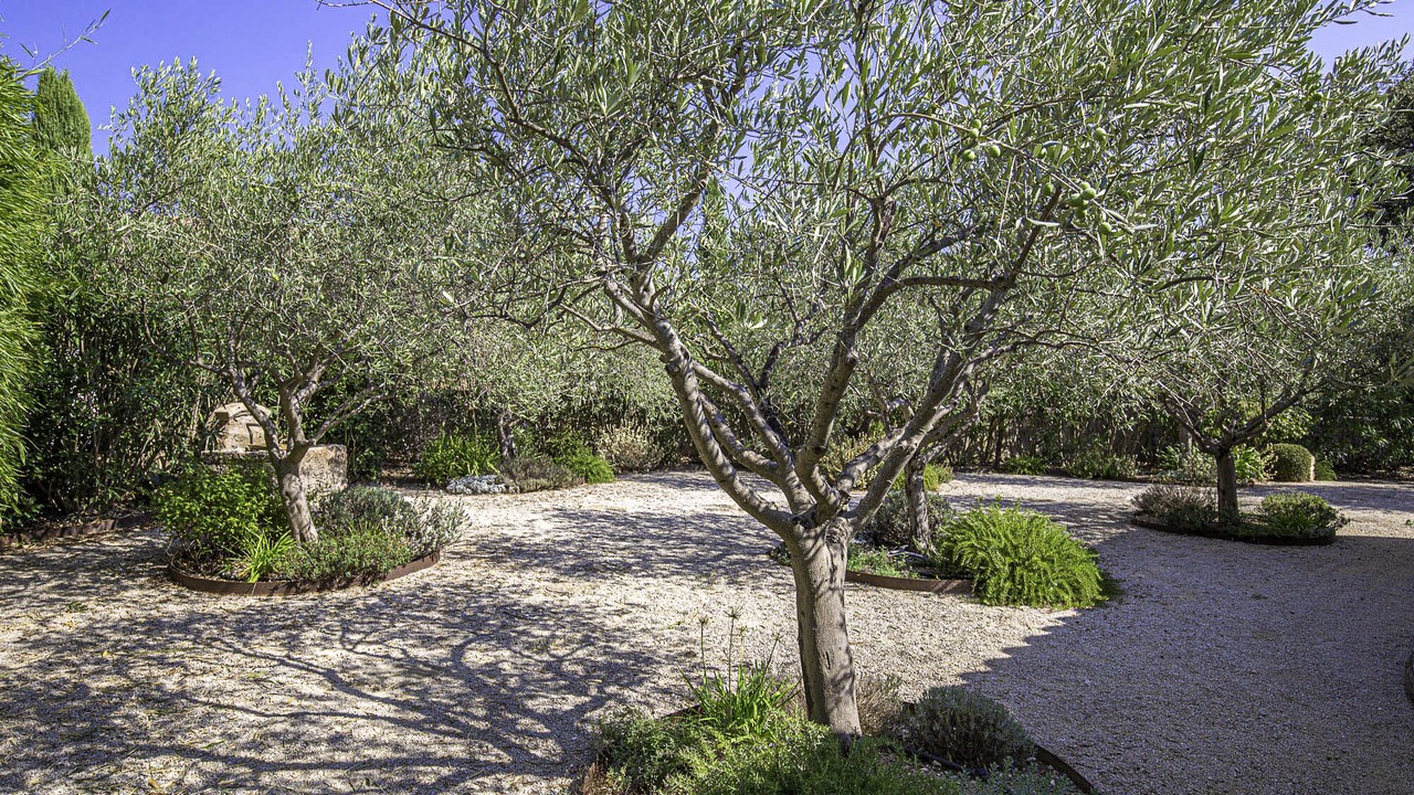 Photo of Outdoor in Cabrieres-d'Avignon