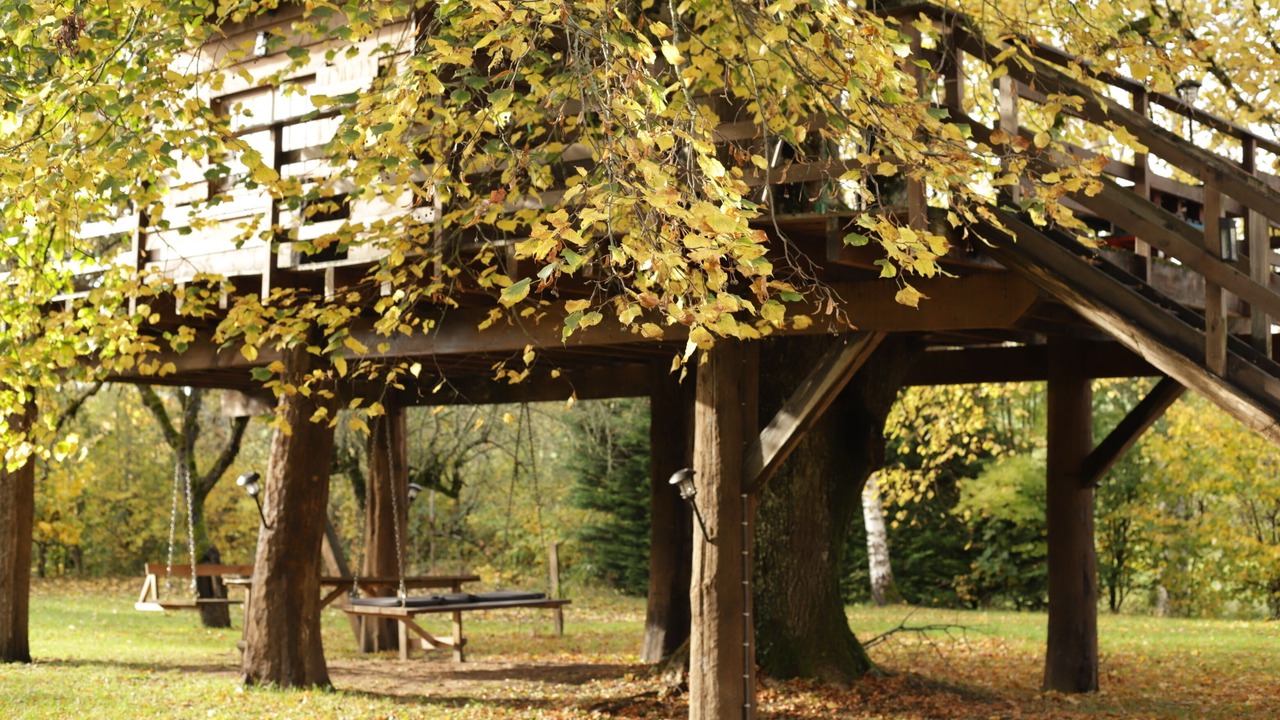 Photo of Outdoor in Bona
