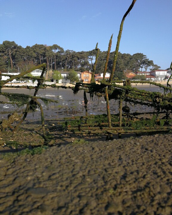 Photo of Others in Cap-Ferret