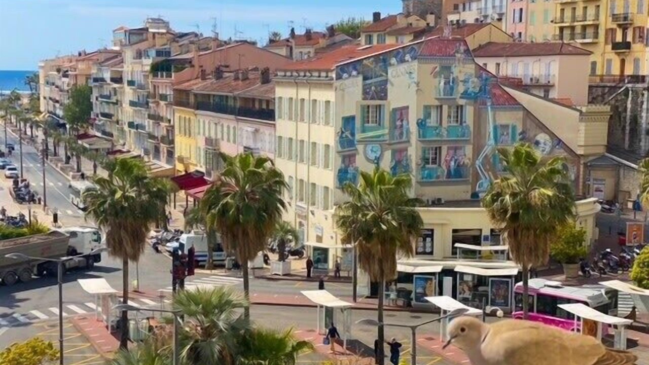 Photo of Others in Le Suquet