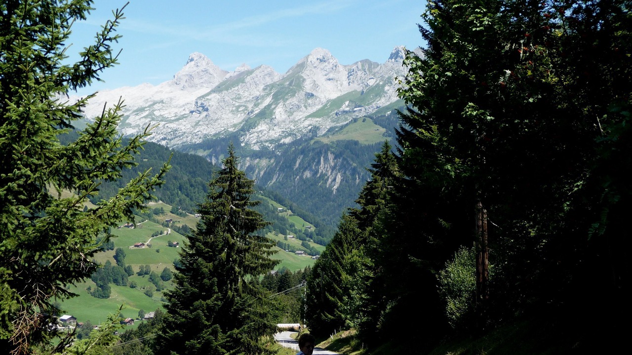 Photo of Others in Le Grand-Bornand