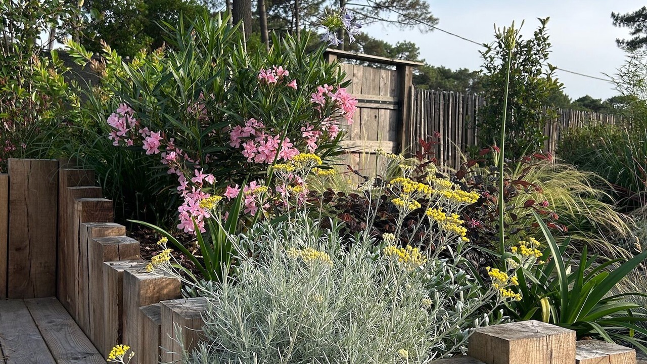 Photo of Outdoor in Cap-Ferret