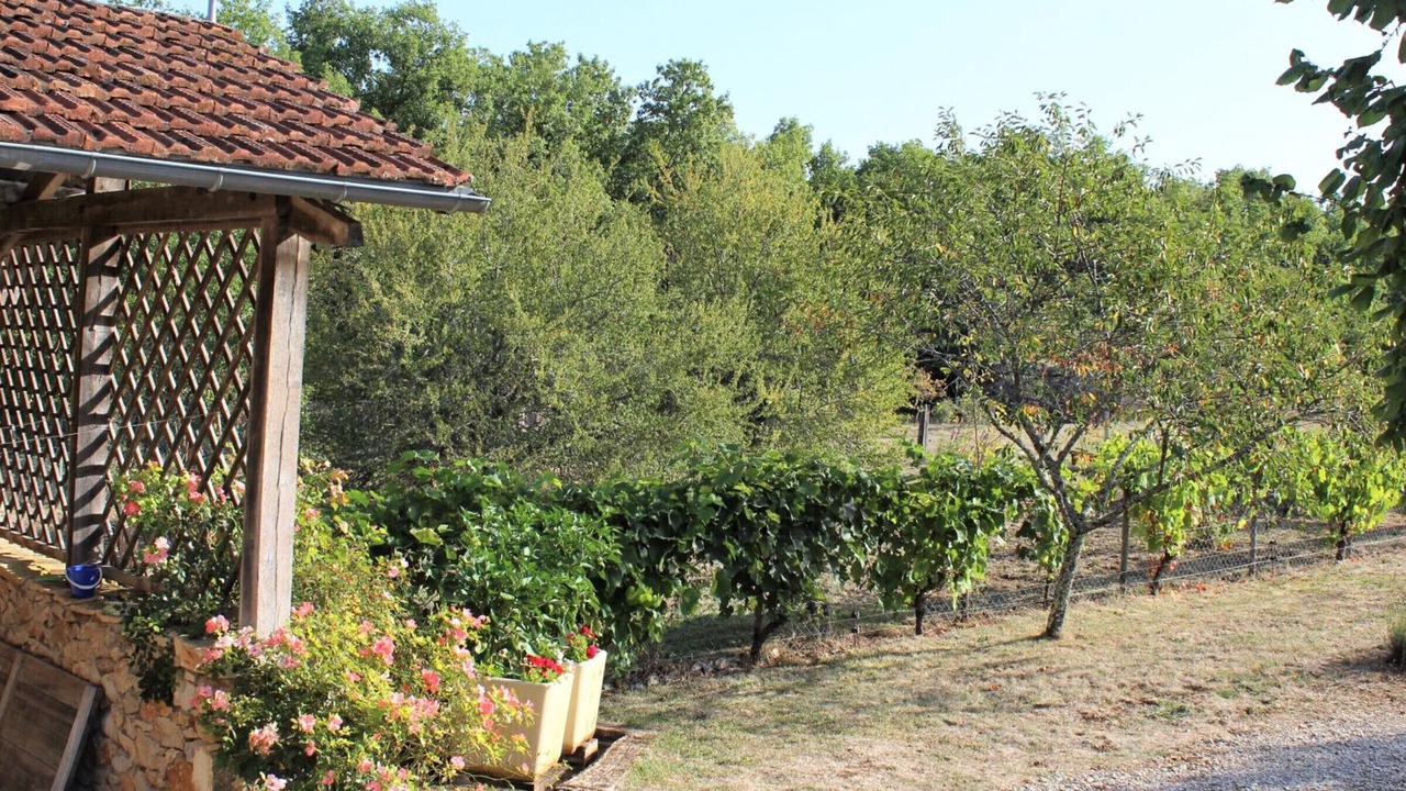 Photo of Outdoor in Azerat