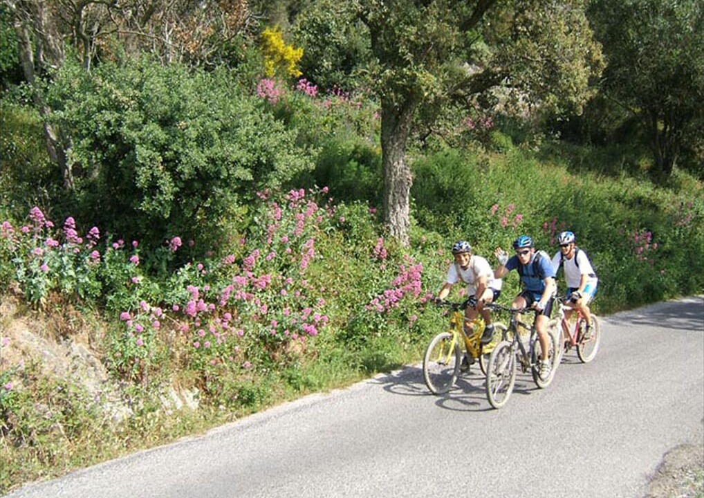Photo of Others in Le Brusc