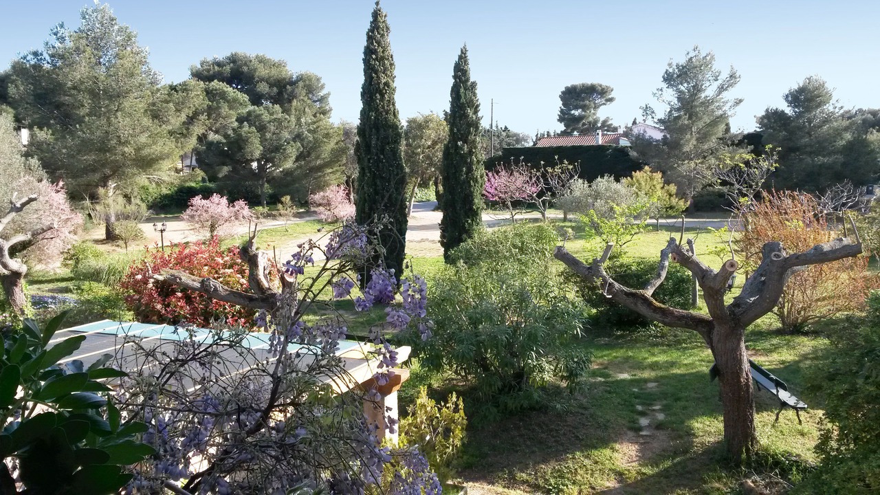 Photo of Outdoor in Le Brusc