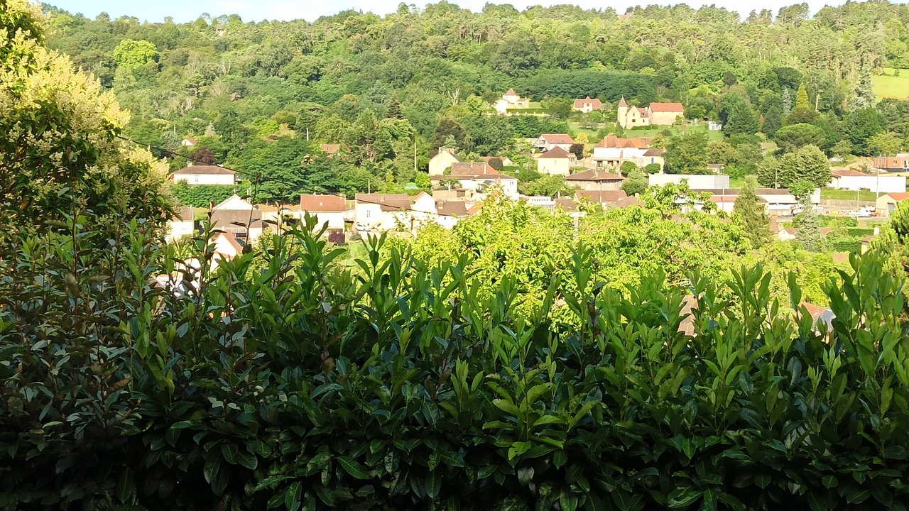 Photo of Others in Sarlat-la-Caneda