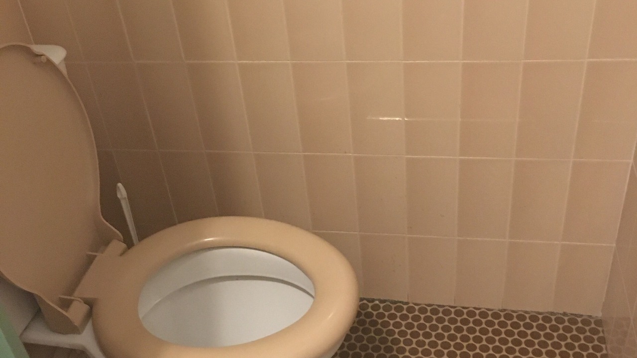 Photo of Bathroom in Allos