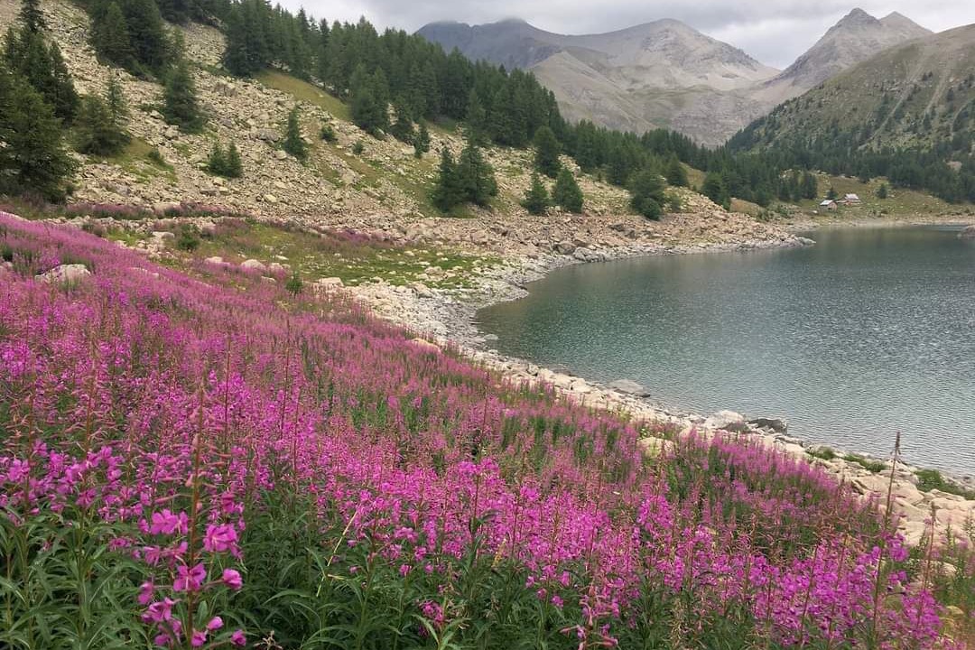 Photo of Others in Allos