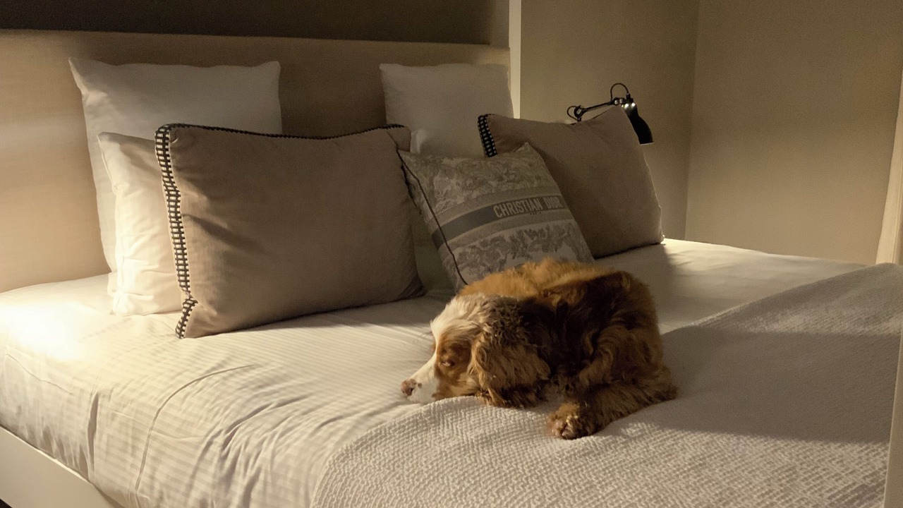 Photo of Bedroom in Saint-Tropez