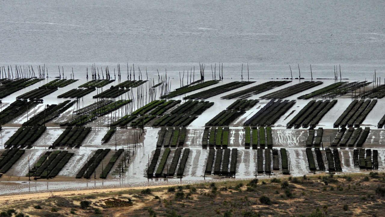 Photo of Outdoor in Cap-Ferret