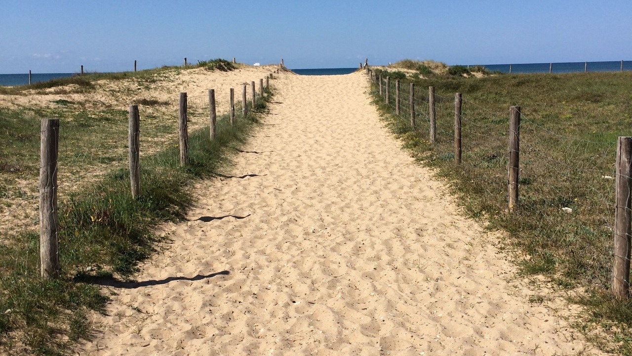 Photo of Others in Dolus-d'Oleron