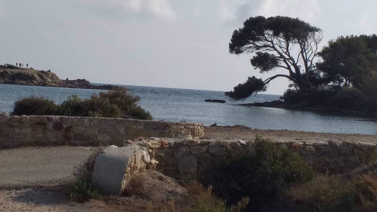 Photo of Others in Sanary-sur-Mer