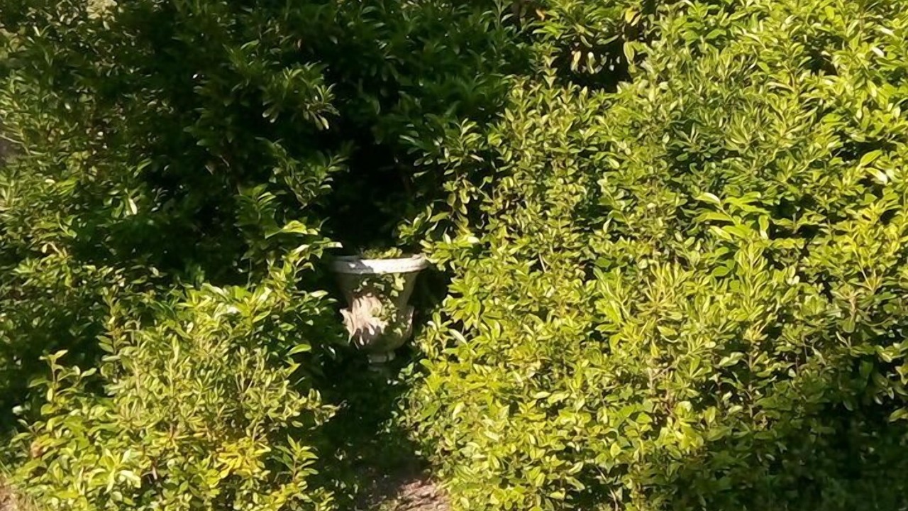Photo of Outdoor in Grasse