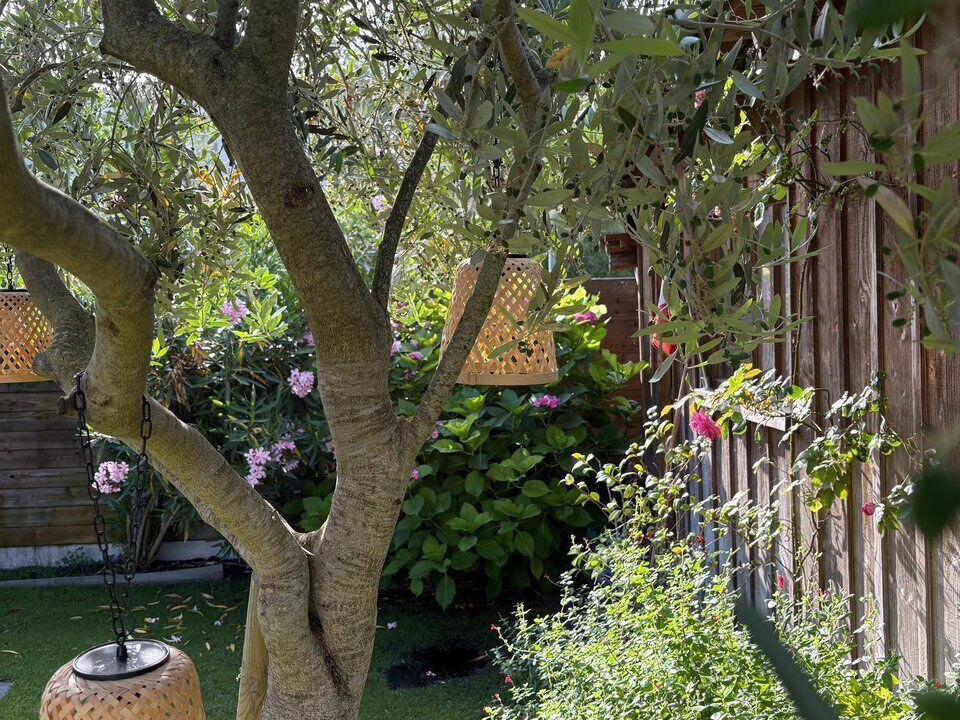 Photo of Outdoor in Lestonat - Monsejour