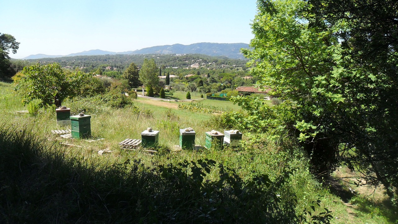 Photo of Outdoor in Le Plan-de-Grasse