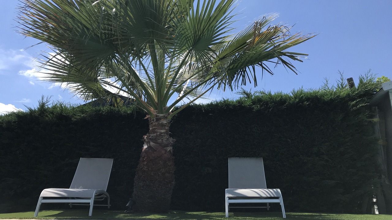 Photo of Outdoor in La Teste-de-Buch