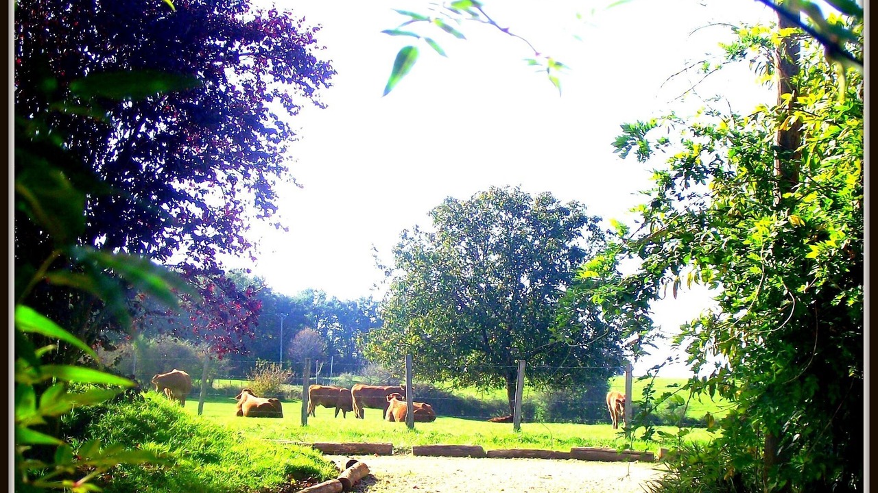 Photo of Outdoor in Rouffignac-Saint-Cernin-de-Reilhac
