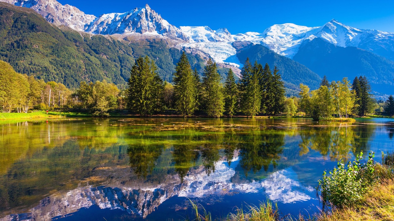 Photo of Others in Chamonix-Mont-Blanc