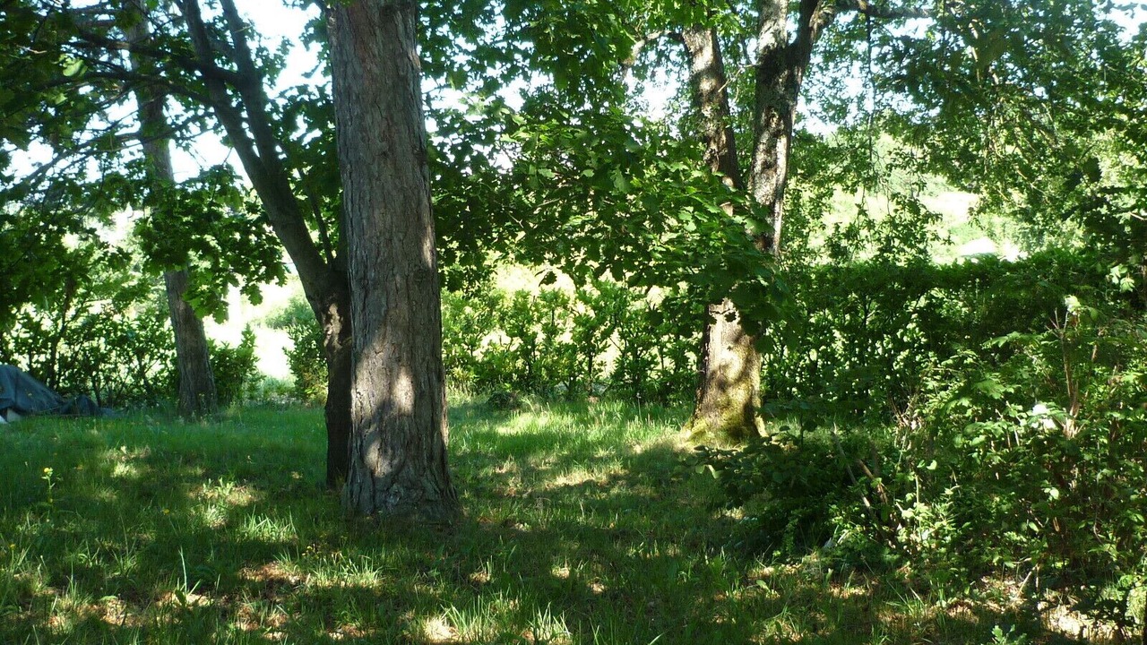 Photo of Outdoor in Berson
