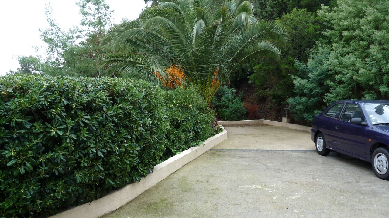 Photo of Outdoor in La Croix-Valmer