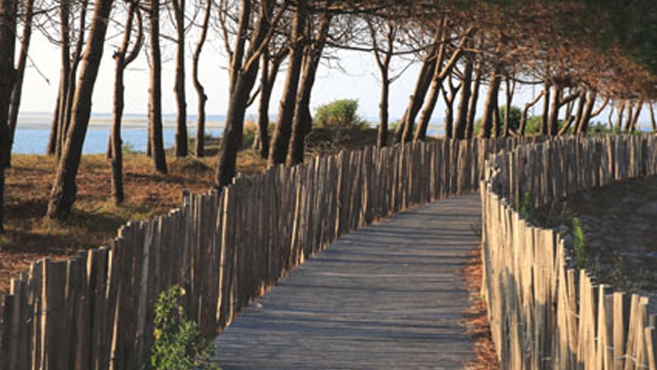 Photo of Outdoor in Gujan-Mestras
