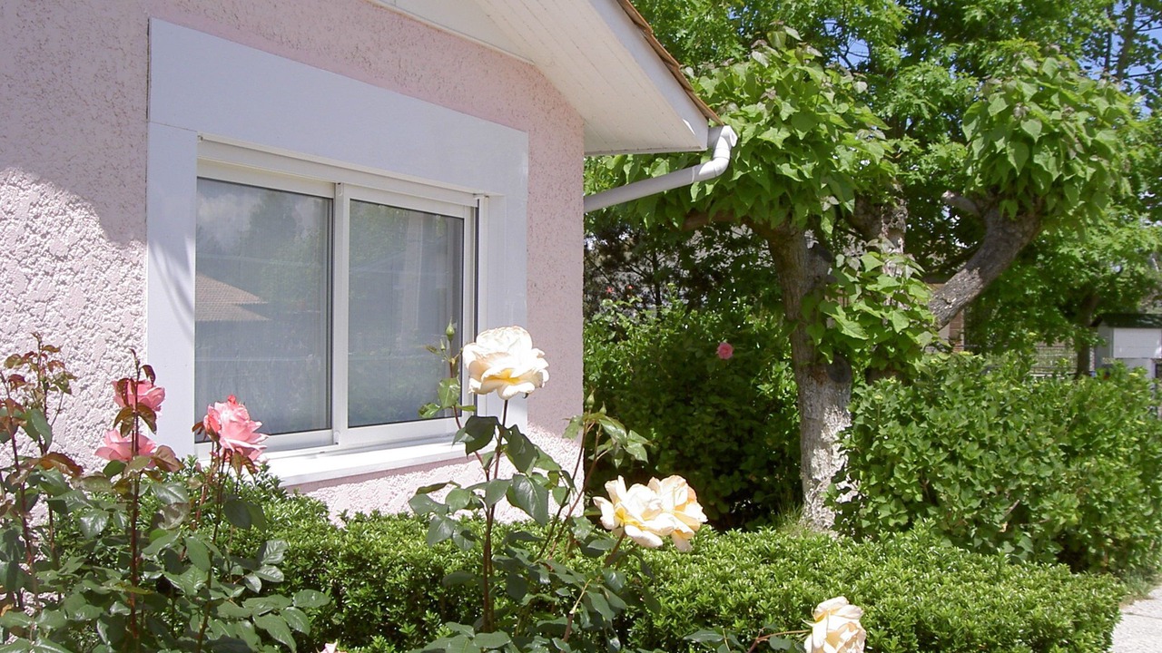 Photo of Outdoor in Gujan-Mestras