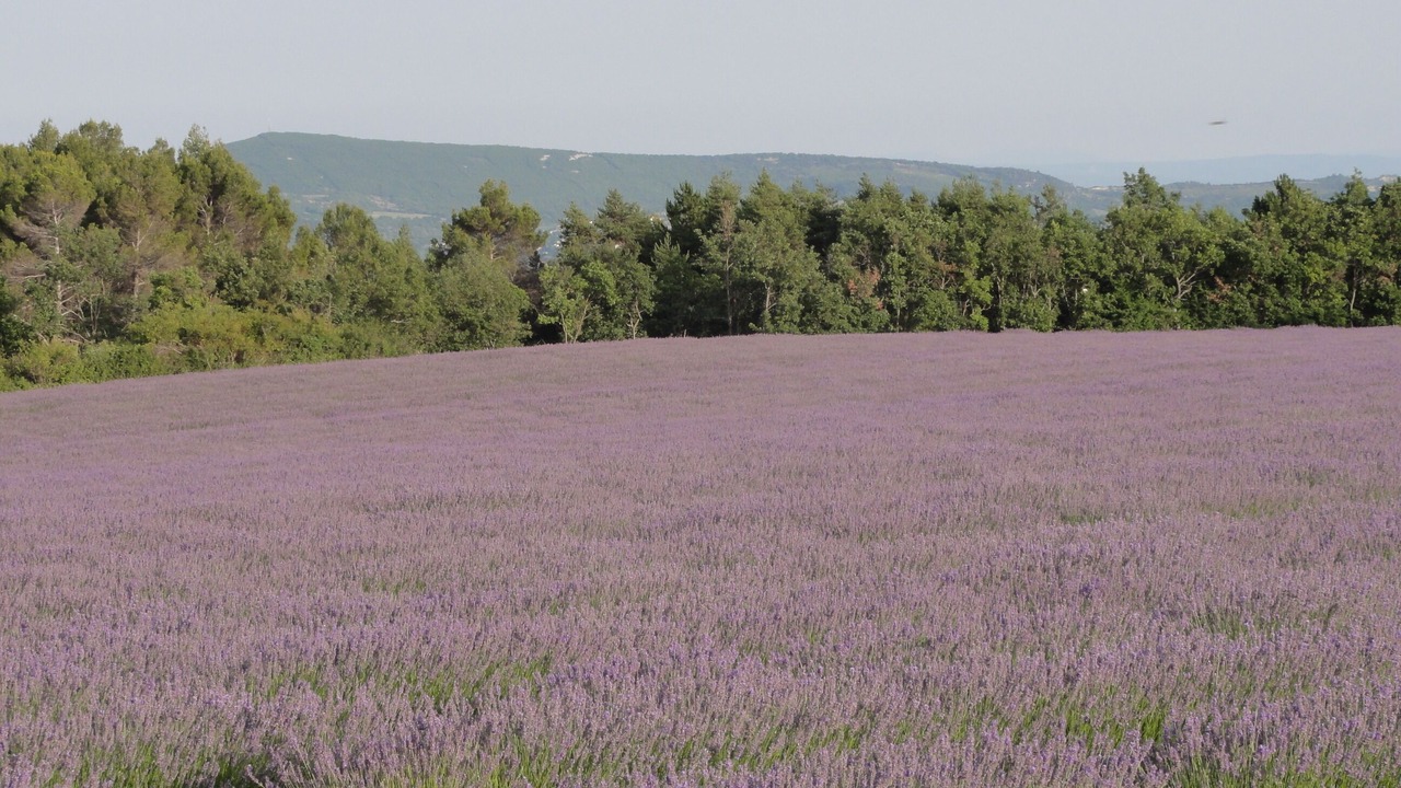 Photo of Outdoor in Reillanne