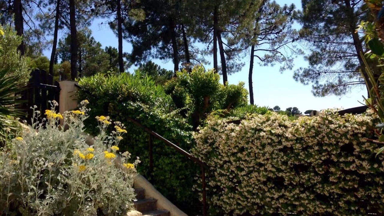 Photo of Outdoor in Sainte-Maxime