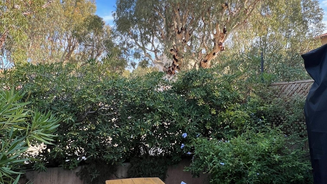 Photo of Outdoor in Porquerolles