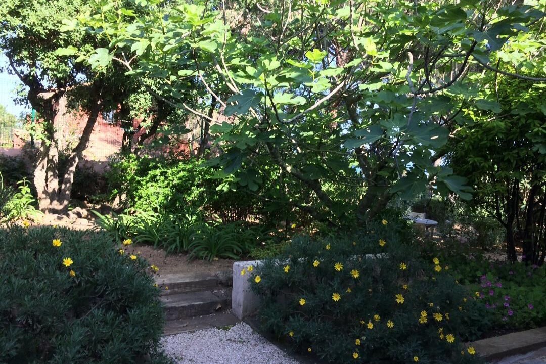 Photo of Outdoor in La Nartelle