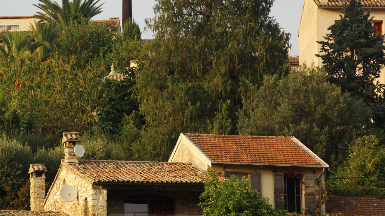 Photo of Outdoor in Biot
