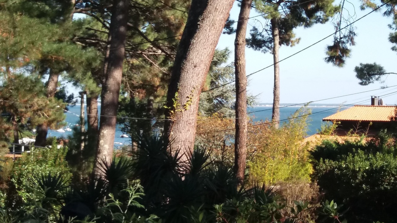 Photo of Outdoor in Cap-Ferret