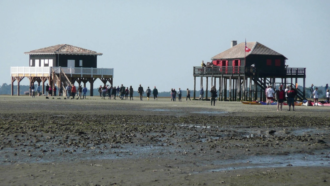 Photo of Others in Gujan-Mestras