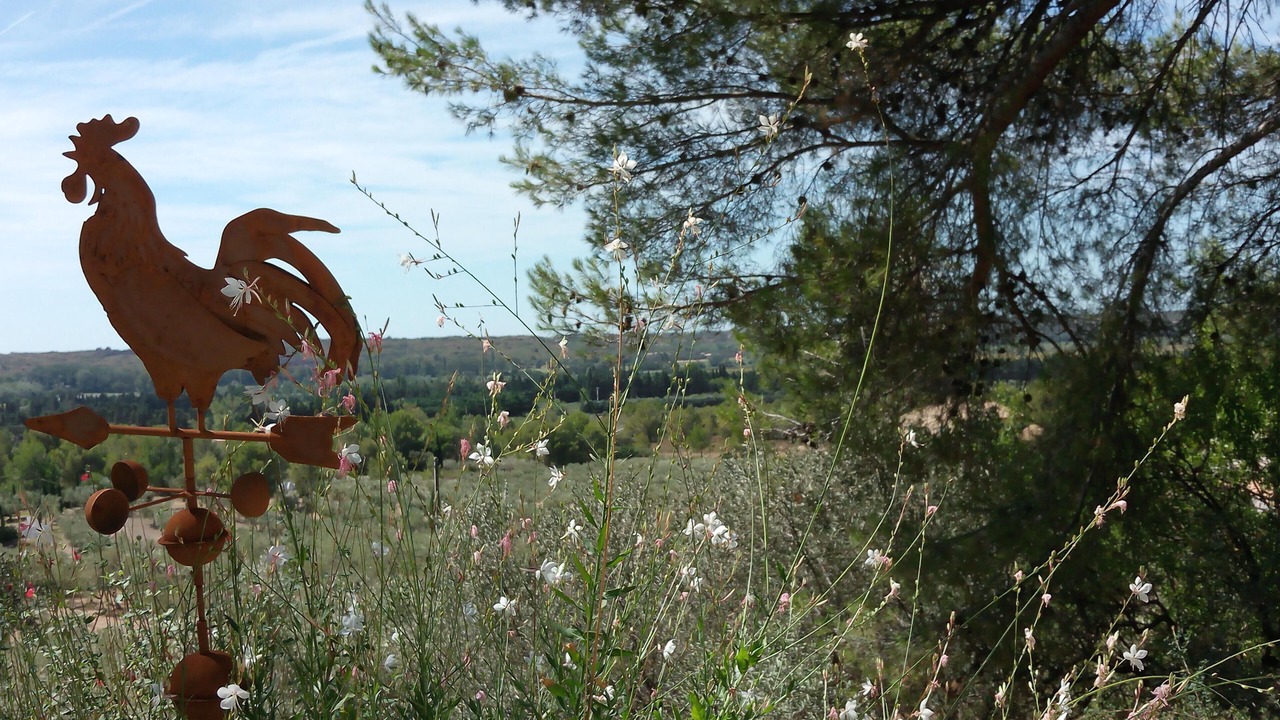 Photo of Outdoor in Mouries