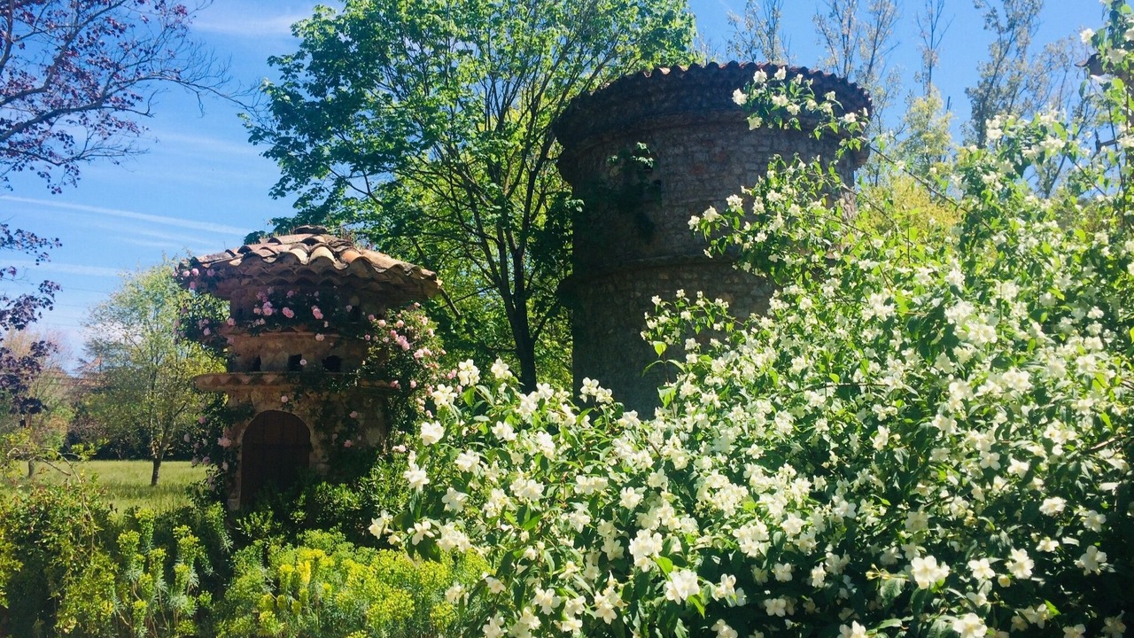 Photo of Others in Mouans-Sartoux