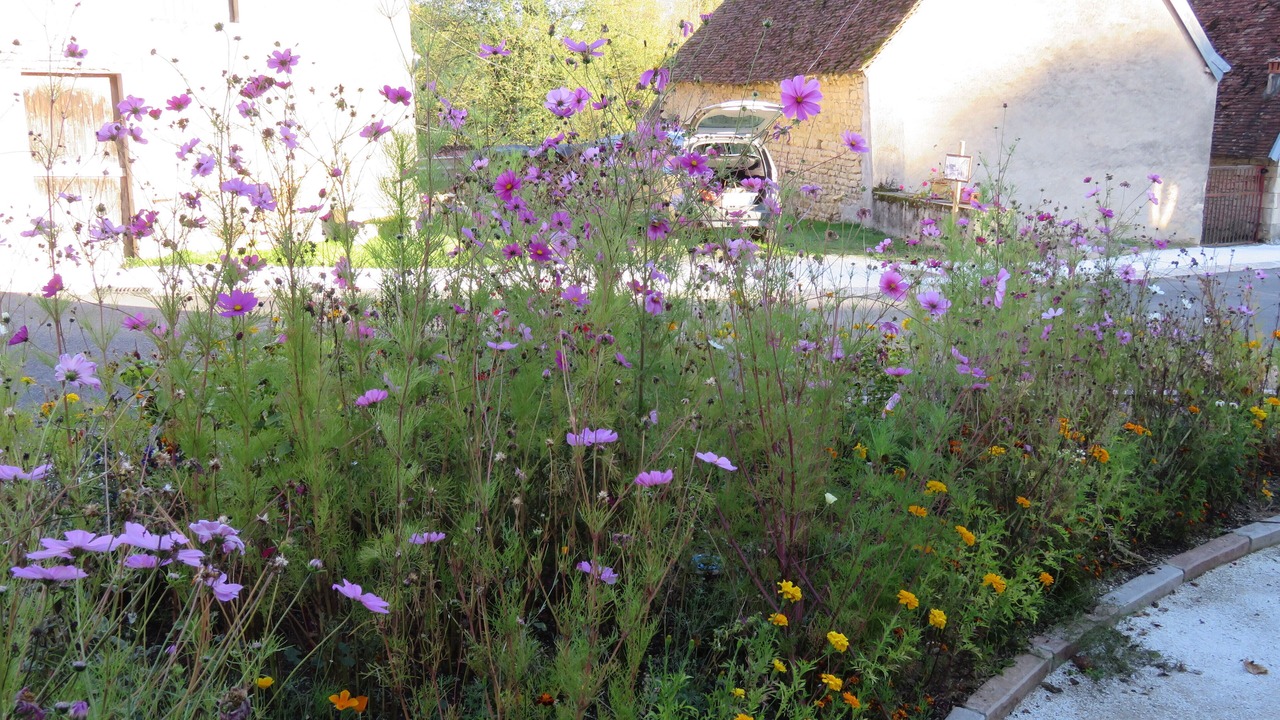Photo of Outdoor in Cessy-les-Bois