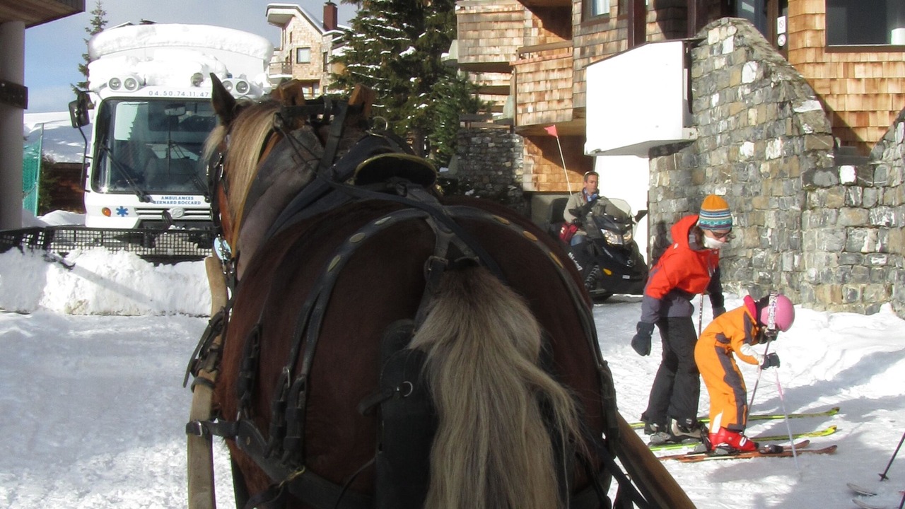Photo of Others in Avoriaz
