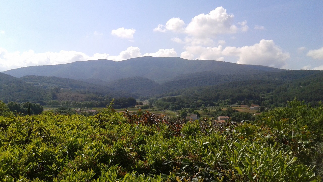 Photo of Outdoor in Auriol