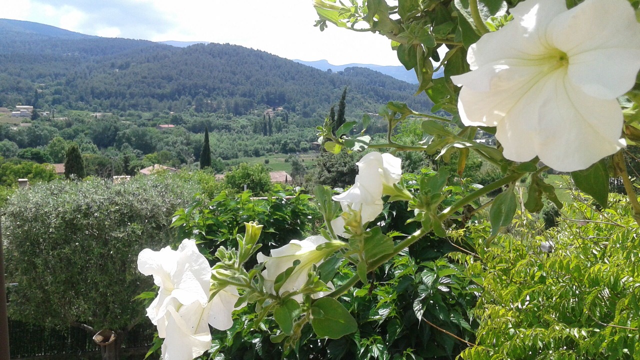 Photo of Outdoor in Auriol