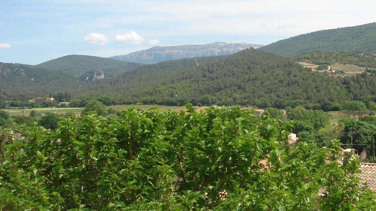 Photo of Others in Auriol