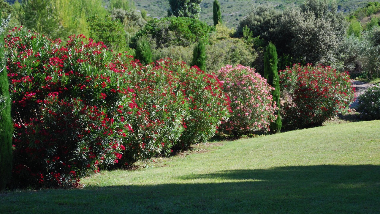 Photo of Outdoor in Le Castellet