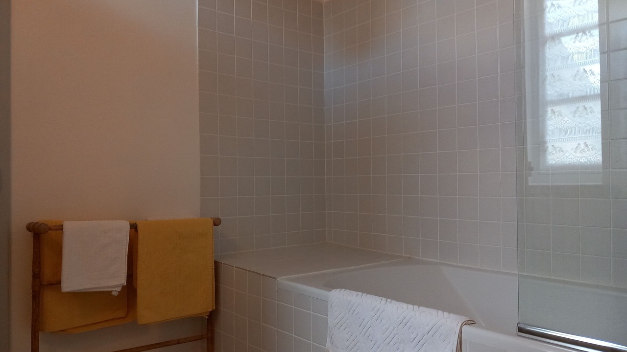 Photo of Bathroom in Saint-Benin-d'Azy