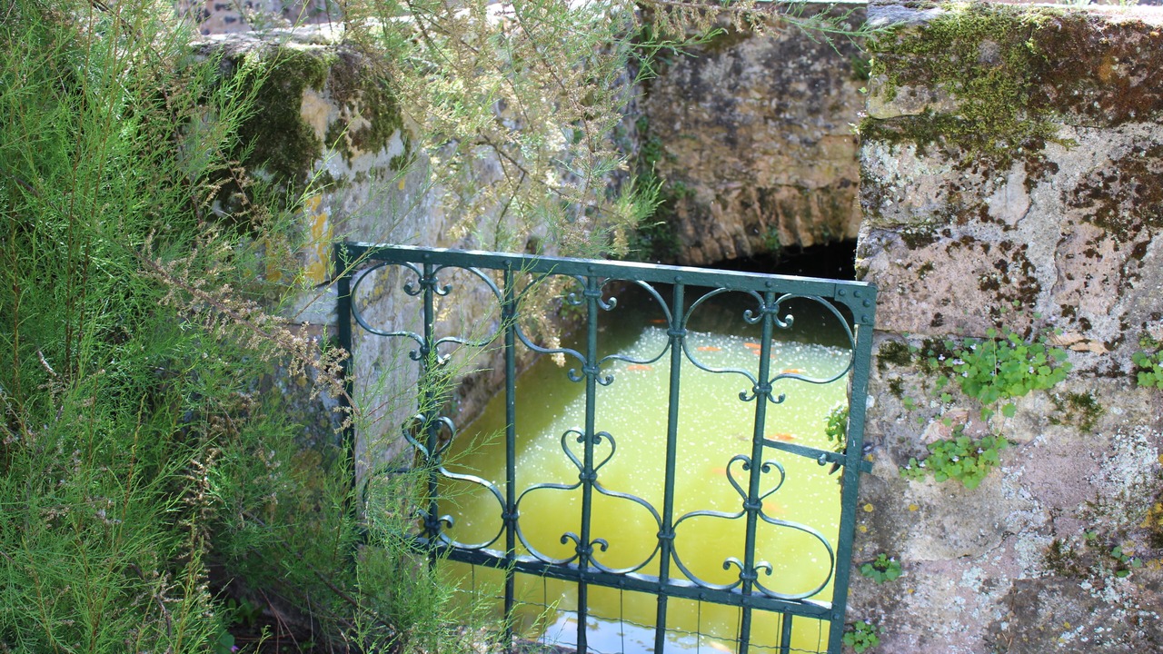 Photo of Outdoor in Mazeyrolles