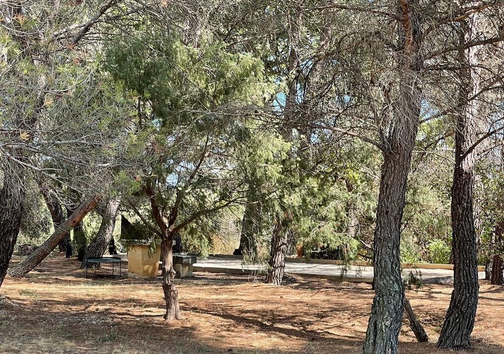 Photo of Outdoor in Cabrieres-d'Avignon