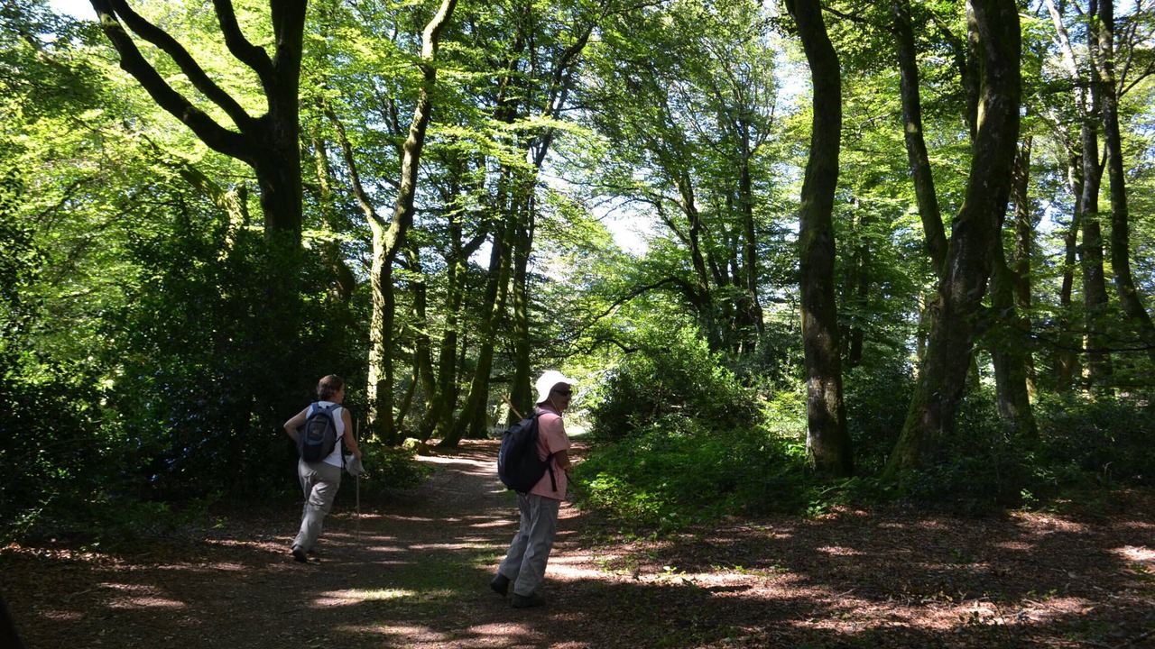 Photo of Outdoor in Cervon