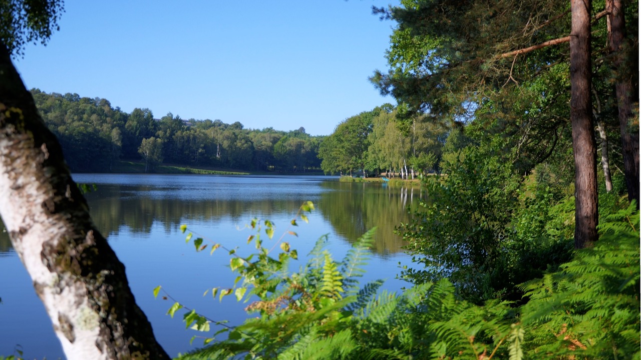 Photo of Outdoor in Troche